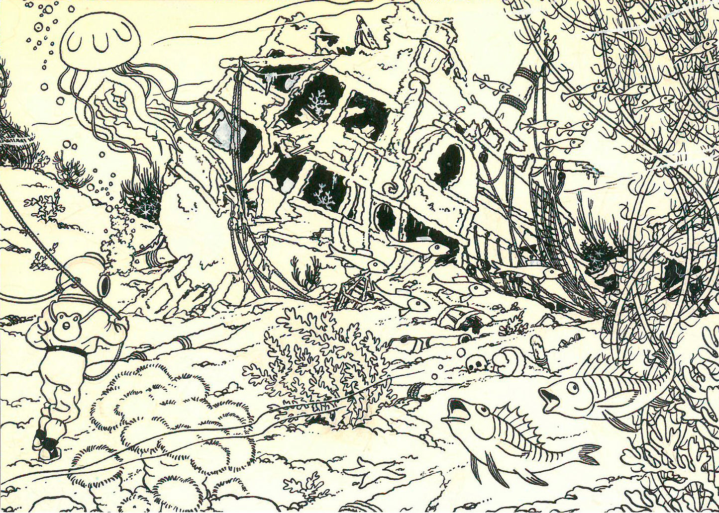 Unicorn dive postcard