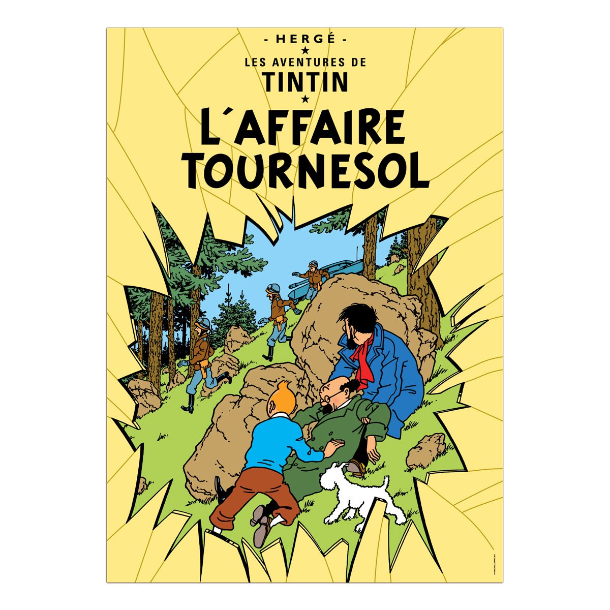 Calculus Affair Tintin poster