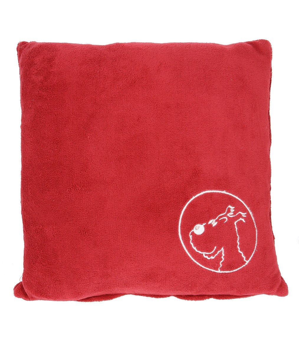 Red 45x45cm cushion
