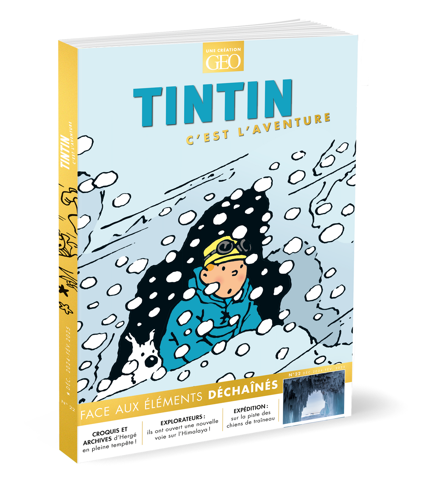 Tintin C'est l'Aventure #22