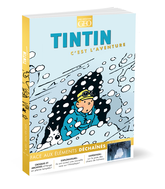 Tintin C'est l'Aventure #22