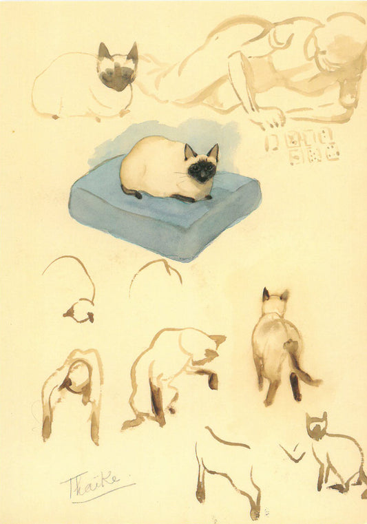 Cats postcard
