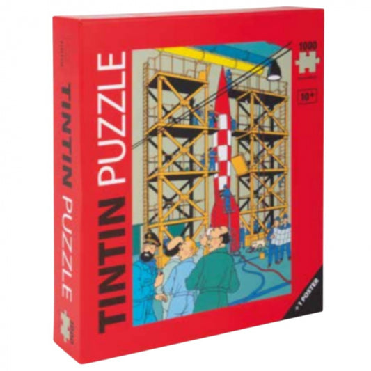 Puzzle XFLR6