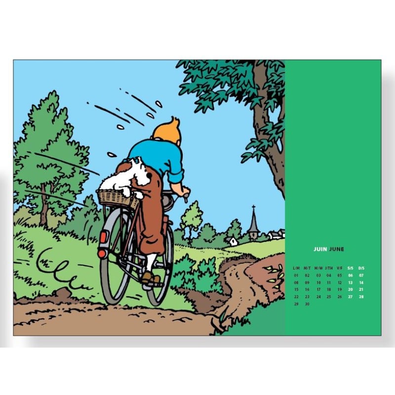 Pocket diary 2026