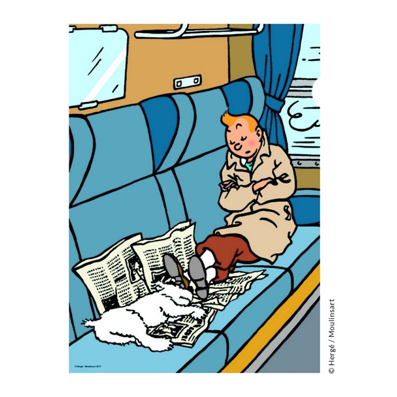 Tintin plastic document wallet