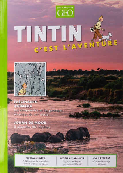 Tintin C'est l'Aventure #11
