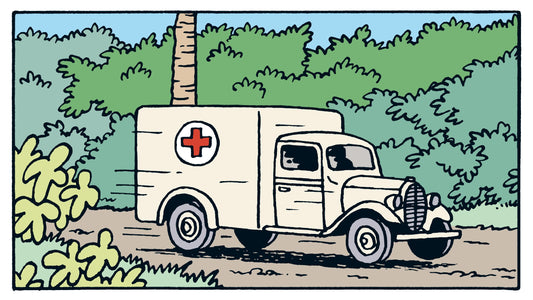 56. Ambulance of the Asylum