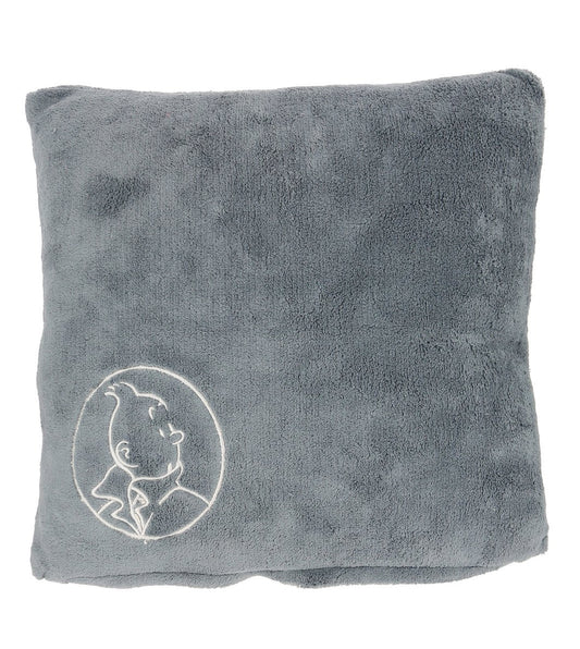 Grey 45x45cm cushion