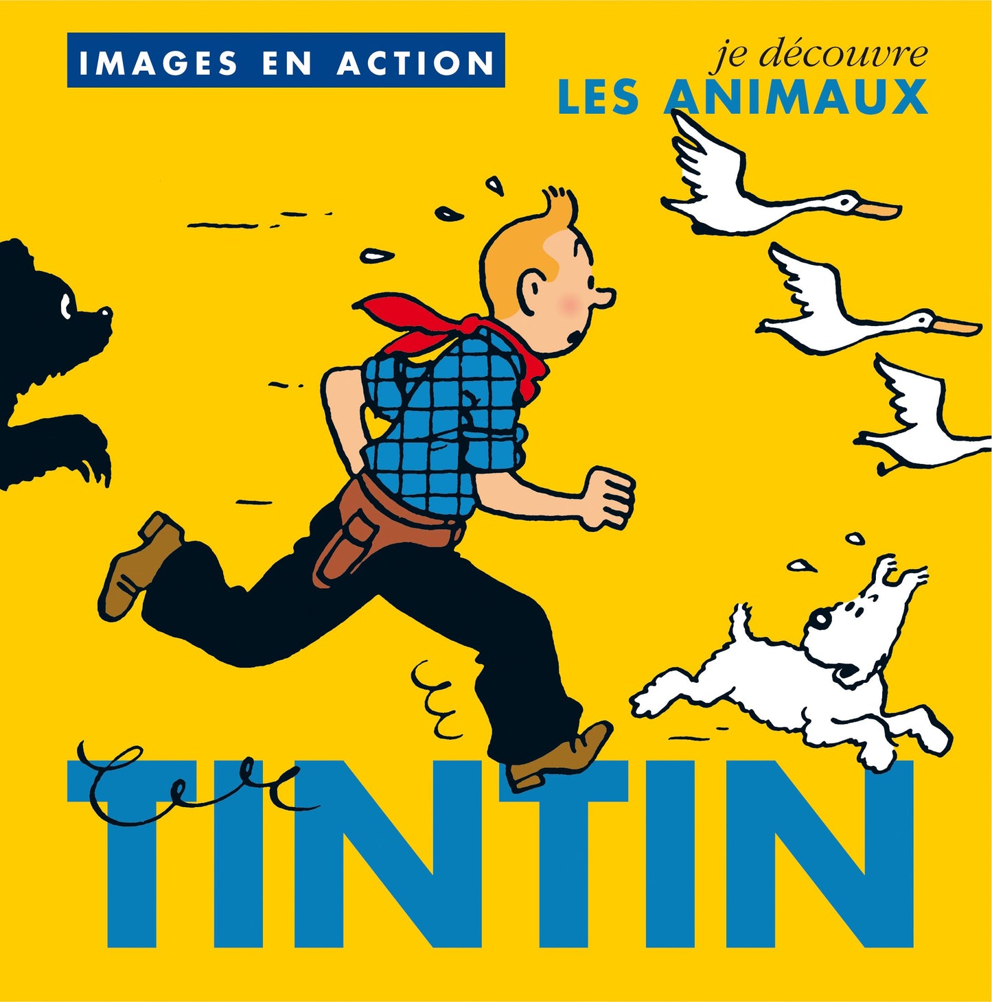 Images en action book - Animals