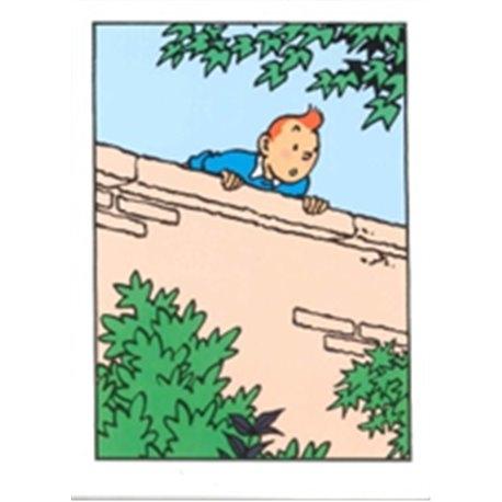 Tintin on the wall greeting card