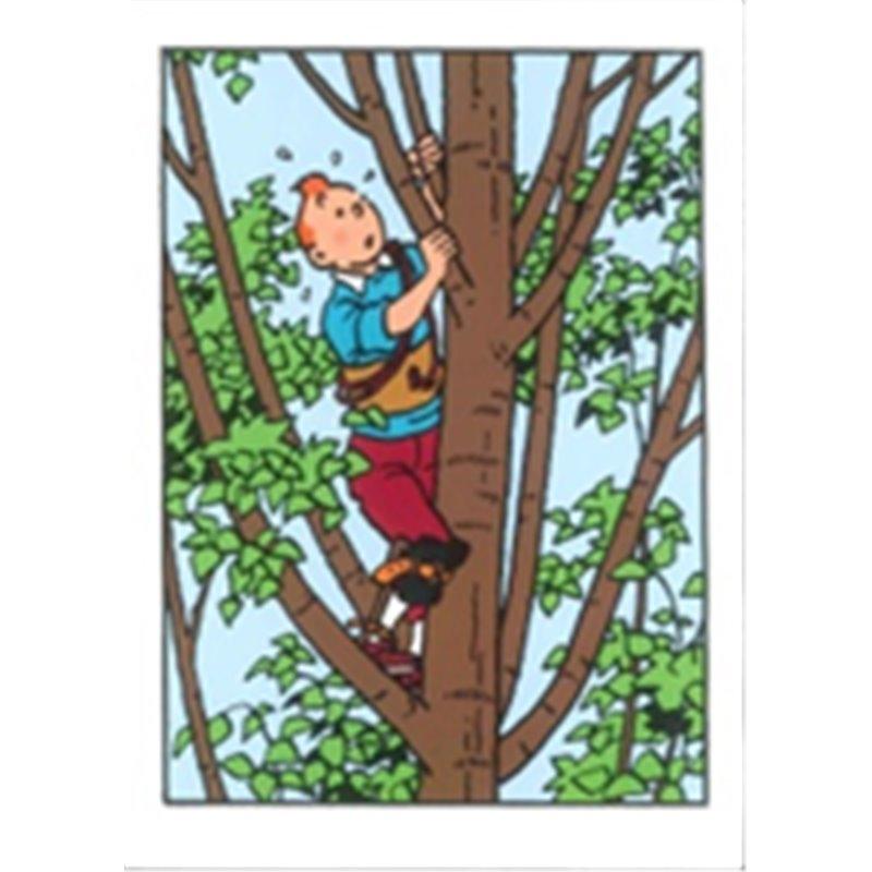 Tintin tree greeting card